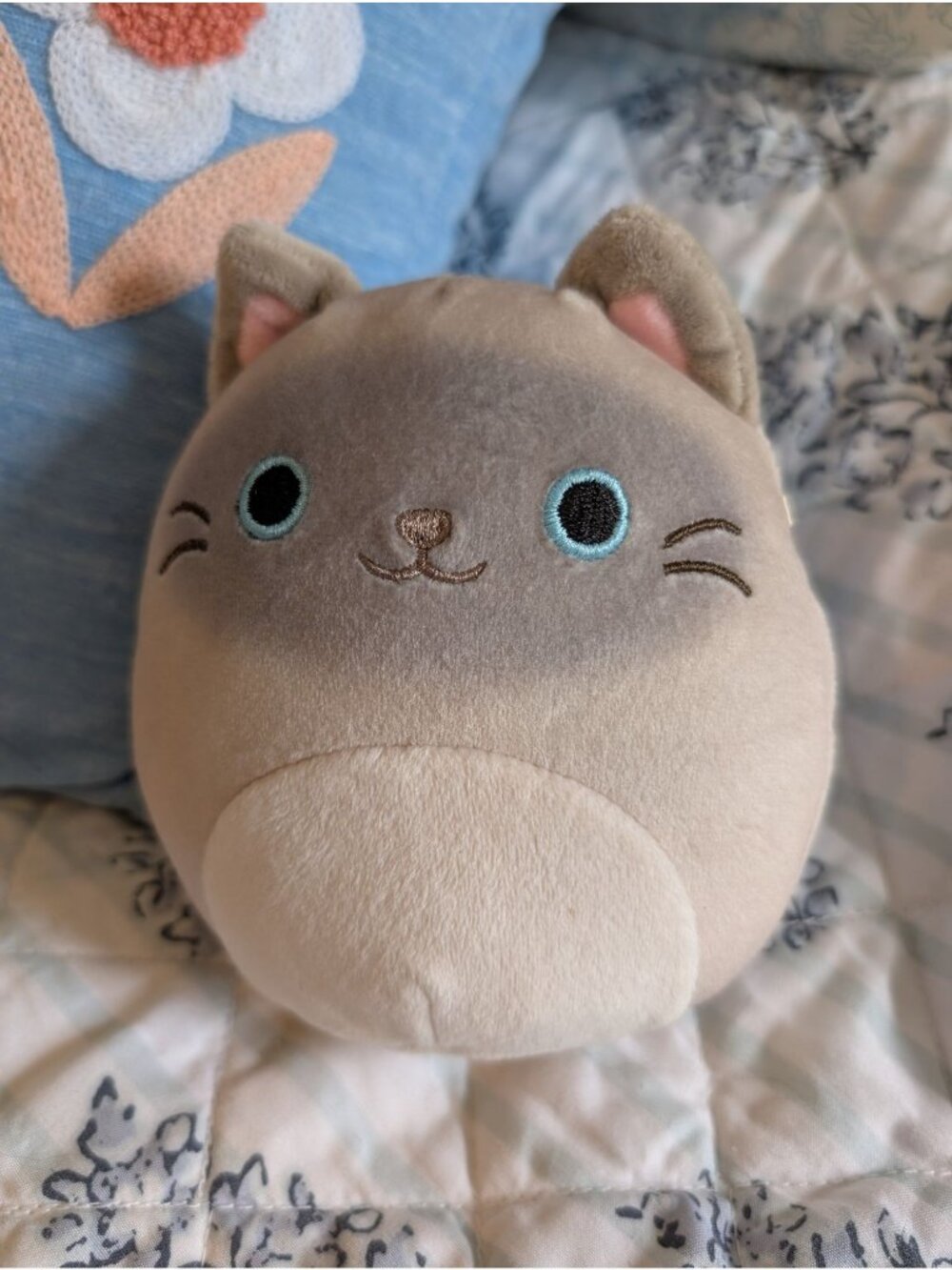 Squishmallows Felton the Siamese Cat Plush Stuffed Animal Collectable